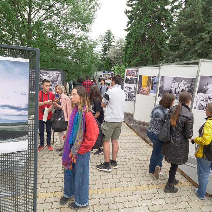 2255307_700x700_crop_478b24840a