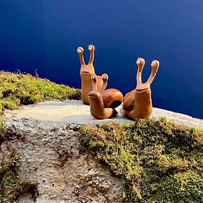 img-0433_700x700_crop_478b24840a