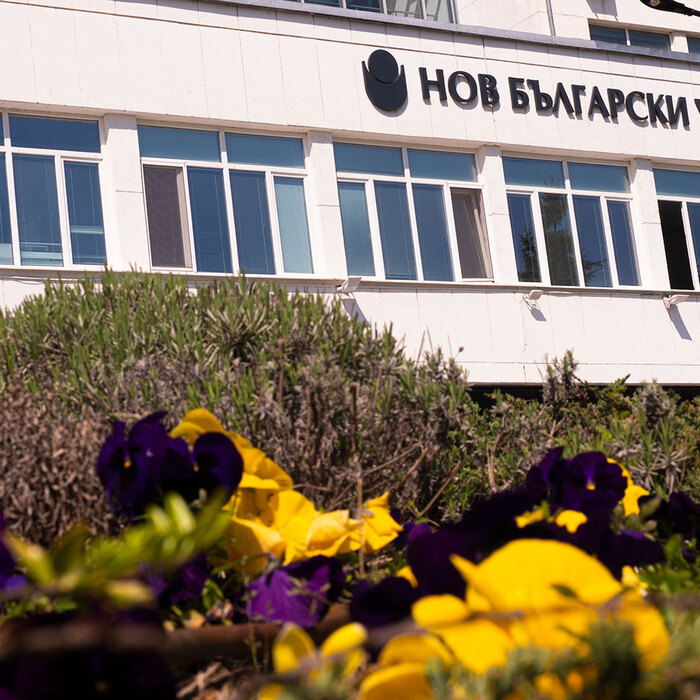 2566415_700x700_crop_478b24840a