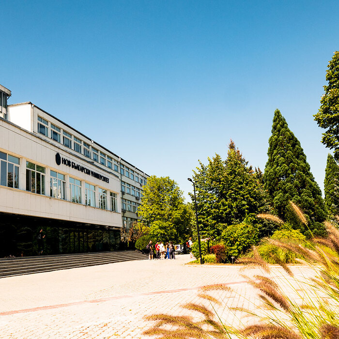 p3388647_700x700_crop_478b24840a